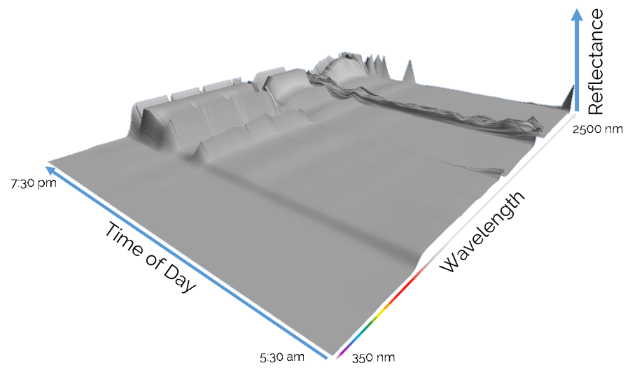 3D visualization of diurnal hyperspectral reflectance signatures (unprocessed).