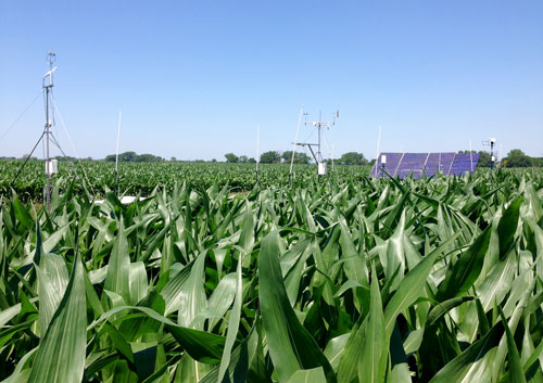 EcoSpec system deployed at Fermilab corn field