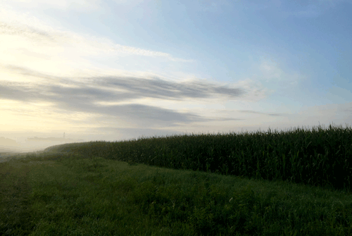 Sunrise at Fermilab EcoSpec study site