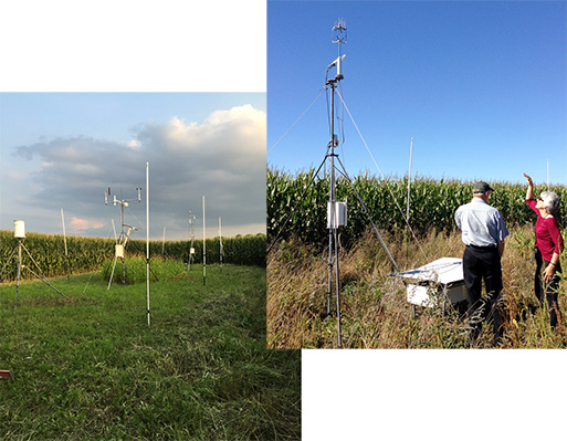 Met tower and eddy covariance system