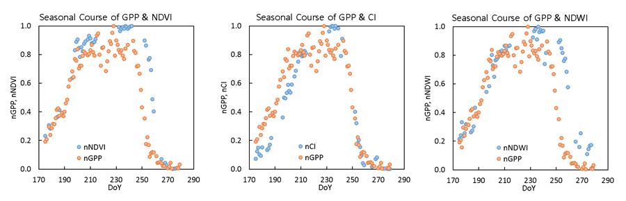 Seasonal course of spectral indices and GPP
